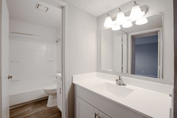 A bathroom with a sink and a toilet