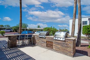 Gas bbq grills