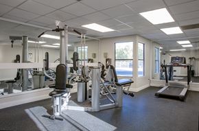 Tempe apartment for rent - A gym with a variety of equipment including a treadmill, weights, and a bench press.at Ascent on Spence, Tempe, AZ 85281
