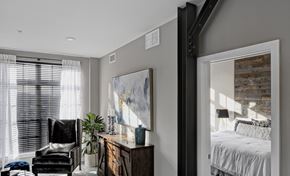 Troy apartment for rent - The News apt