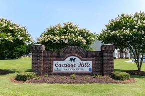 Lumberton apartment for rent - A sign for Carriage Hills Apartments is surrounded by bushes and trees at Carriage Hills, 28358