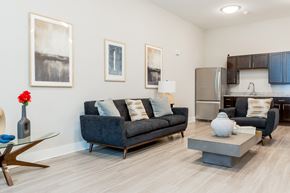 Charleston apartment for rent - Living room with a grey couch at James Lewis JR, SC