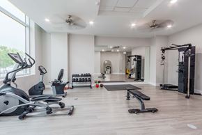 Charleston apartment for rent - A spacious gym with a variety of equipment including treadmills, weights, and a bench press at James Lewis Jr, Charleston, SC 