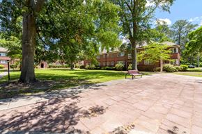 Kinston apartment for rent - Exterior Landscape at Kinston Oaks Apartments, North Carolina, 28501