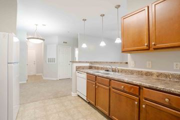 Greenville apartment for rent - A kitchen with wooden cabinets and a granite countertop.