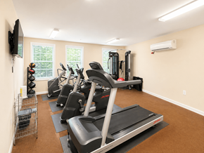 Cornelius apartment for rent - A home gym with treadmills, elliptical machines, and a television.