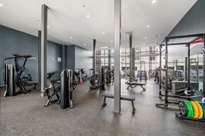 Parker apartment for rent - A gym with a variety of equipment including treadmills, weights, and exercise machines.