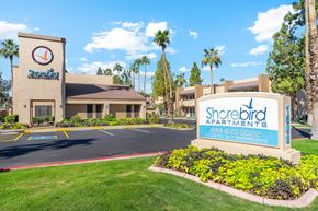 Mesa apartment for rent - A sign for Shorebird Apartments is in front of a building with palm trees in the background.