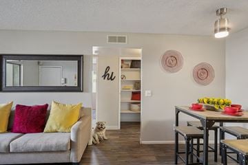 Glendale apartment for rent - A dog sits on the floor in a living room with a grey couch and a dining table.