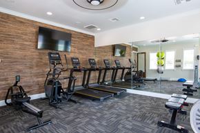 Round Rock apartment for rent - A gym with a variety of equipment including treadmills, stationary bikes, and weight machines.