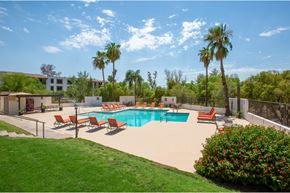 Tucson apartment for rent - A pool surrounded by palm trees and red chairs.