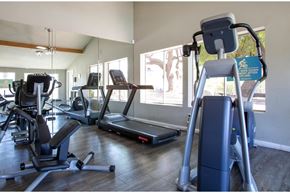Tucson apartment for rent - A gym with treadmills, elliptical machines, and other exercise equipment.
