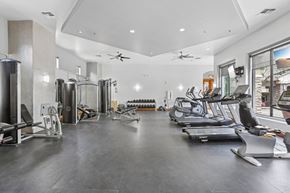 Phoenix apartment for rent - A spacious gym with a variety of equipment including treadmills, weights, and exercise machines.