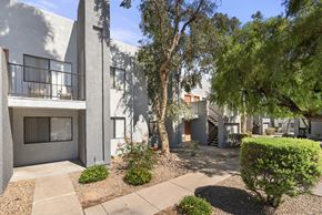 Tucson apartment for rent - A modern building with a white exterior and a courtyard with a tree and bushes.