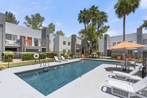 Tucson apartment for rent - A swimming pool surrounded by lounge chairs and umbrellas in a sunny outdoor setting.