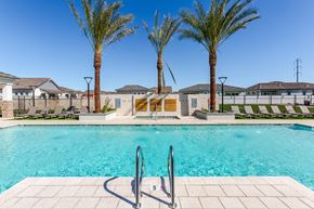 Goodyear apartment for rent - A pool surrounded by palm trees and lounge chairs.
