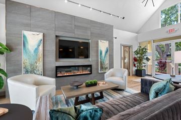 Pompano Beach apartment for rent - A modern living room with a grey couch and a fireplace.