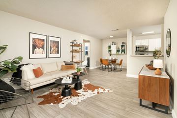Tucson apartment for rent - A living room with a white couch, a coffee table, and a rug with a cowhide design.