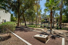 Tucson apartment for rent - A playground with a slide and a sandbox in the middle of a garden.