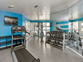 Gilbert apartment for rent - Fitness Center at Olive East Apartments