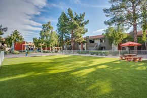 Tempe apartment for rent - Gated Pet Park at Ovation at Tempe Apartments