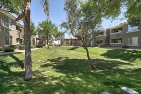 Goodyear apartment for rent - Grass Courtyard at Desert Sage Apartments in Goodyear Arizona