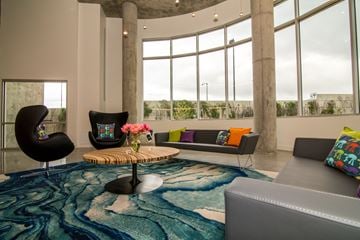 Denver apartment for rent - A living room with a blue rug and a grey couch.