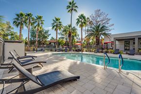 Tempe apartment for rent - Lounge Seating in Pool Area at Ovation at Tempe Apartments