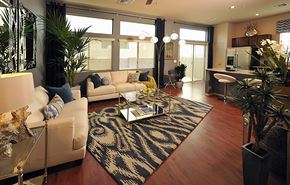 Tucson apartment for rent - A living room with a rug, a couch, a coffee table, and a potted plant.