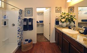 Tucson apartment for rent - oversized bathroom view