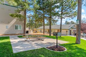 Flagstaff apartment for rent - Picnic Area and Grills at Pinehurst at Flagstaff in Flagstaff Arizona
