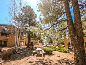 Flagstaff apartment for rent - Picnic Area at University West Apartments in Flagstaff AZ 2021