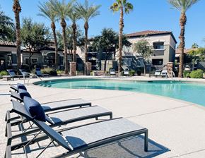 Avondale apartment for rent - A poolside area with sun loungers and palm trees.