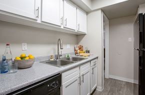 Albuquerque apartment for rent - Sink at Norte Villas in Albuquerque New Mexico