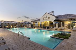 Queen Creek apartment for rent - A large swimming pool surrounded by lounge chairs and umbrellas.