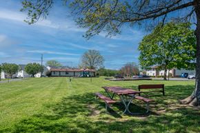Hendersonville apartment for rent - A picnic table sits in a grassy field with a tree to the right.