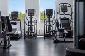 Ft. Myers apartment for rent - A gym with treadmills and elliptical machines.