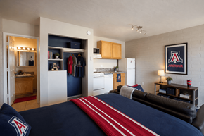 Tucson apartment for rent - Bedroom with a bed, a dresser, a mirror, a bookshelf, and a framed picture on the wall.
