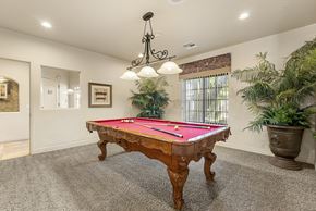 Surprise apartment for rent - A pool table in a room with a chandelier and potted plants.