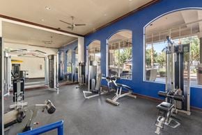 Avondale apartment for rent - A gym with a variety of equipment including a treadmill, weights, and a bench press.
