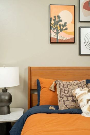 Carpet in bedrooms