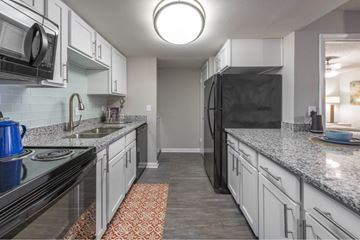 Lutz apartment for rent - A kitchen with black appliances and white cabinets.