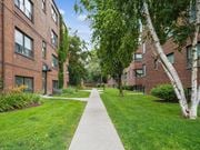 Scarborough apartment for rent - A tree-lined walkway separates two rows of red brick apartment buildings at Queen St East in Scarborough, ON