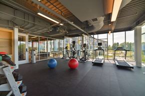Burlington apartment for rent - A gym with a row of treadmills and a row of exercise balls.