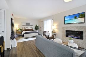 Southfield apartment for rent - a studio apartment with a bed and a fireplace in a living room