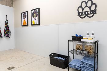 Pet washing station
