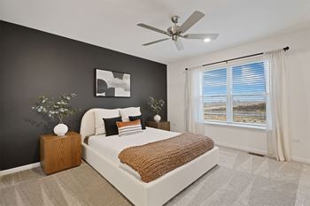 Oversized windows