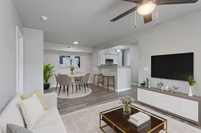 Bentonville apartment for rent - A modern living room with a white couch, a coffee table, and a flat-screen TV.