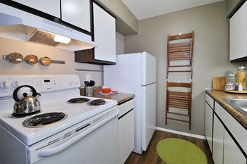 Electric white appliances*