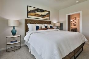 New Braunfels apartment for rent - A bedroom with a large bed, a nightstand with a lamp, and a painting on the wall.